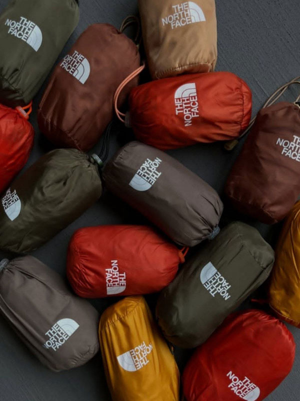 بادگیر مُشتی North Face